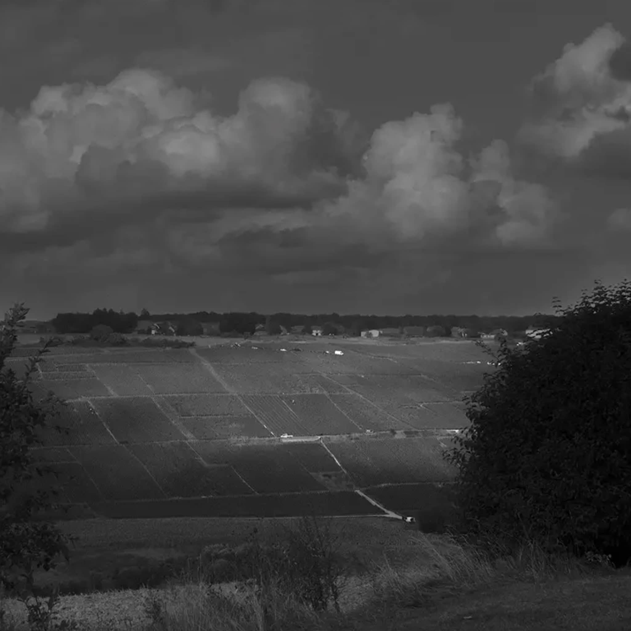 Corps Simple Champagne by Paris Pluriel