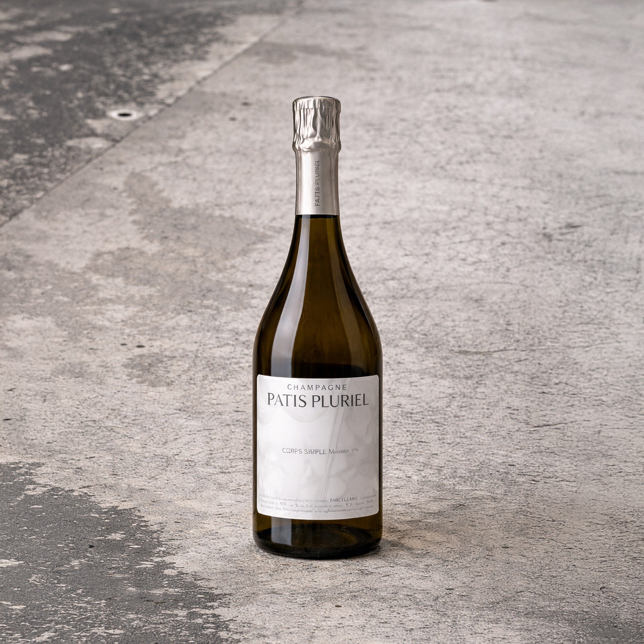 Corps Simple by Patis Pluriel