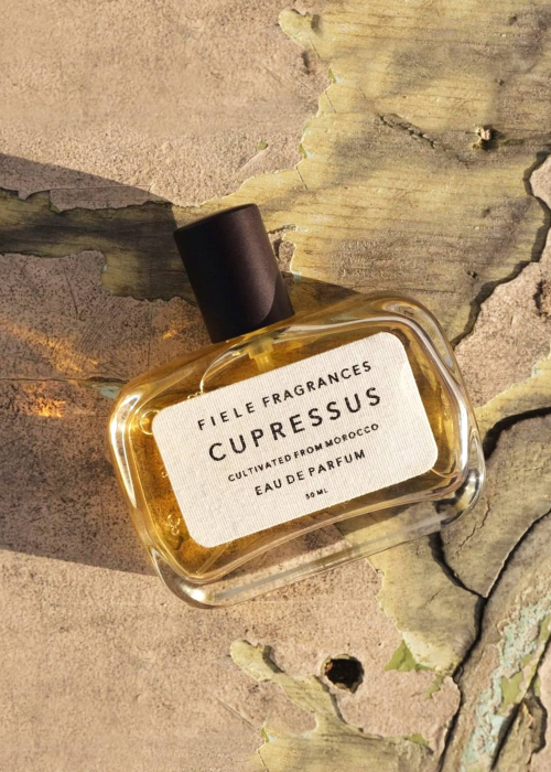 Cupressus Perfume