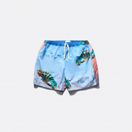 Chameleon Swim Shorts