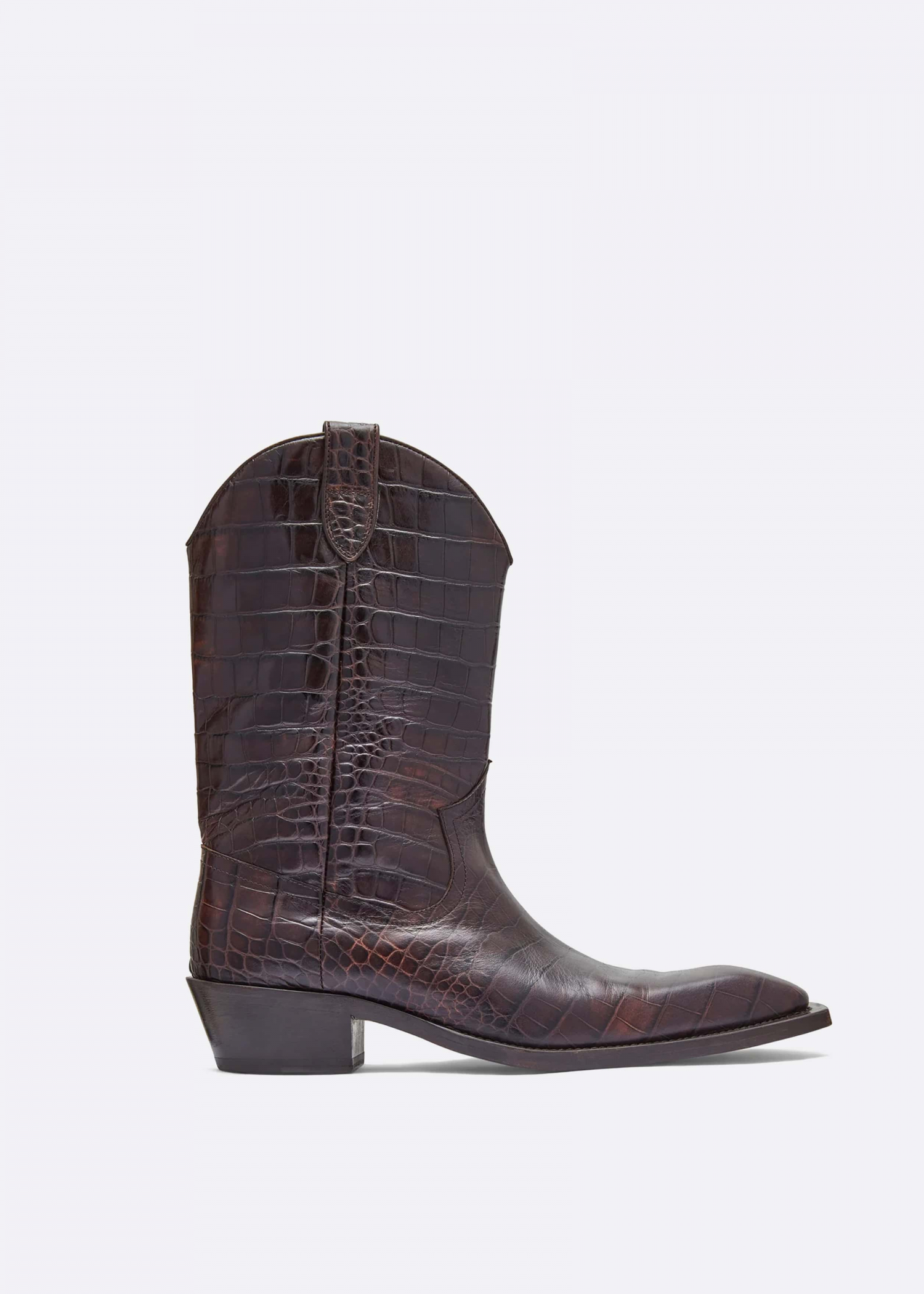 ELLIS-ROSCH__0003_Brown Snake Cowboy Boots