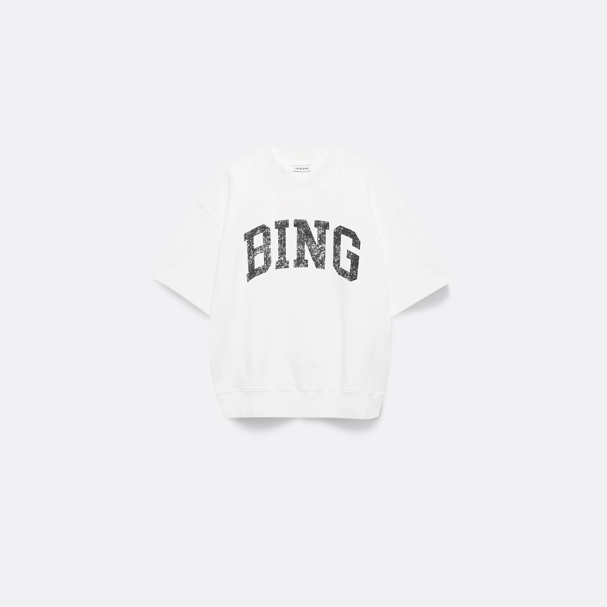 Anine-Bing_ELLIS-ROSCH_Jay Sweatshirt Bing