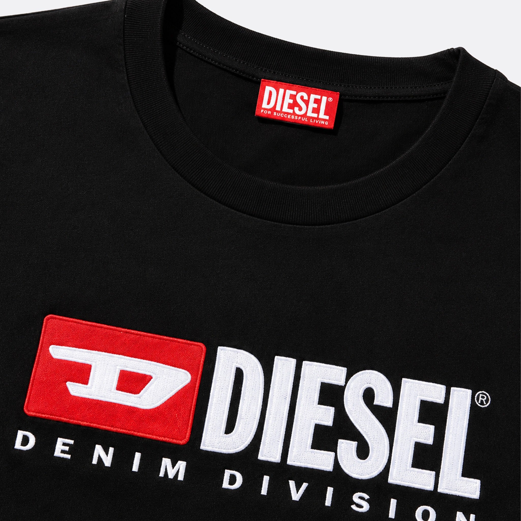 T-BOXT-DIV T-Shirt from Diesel