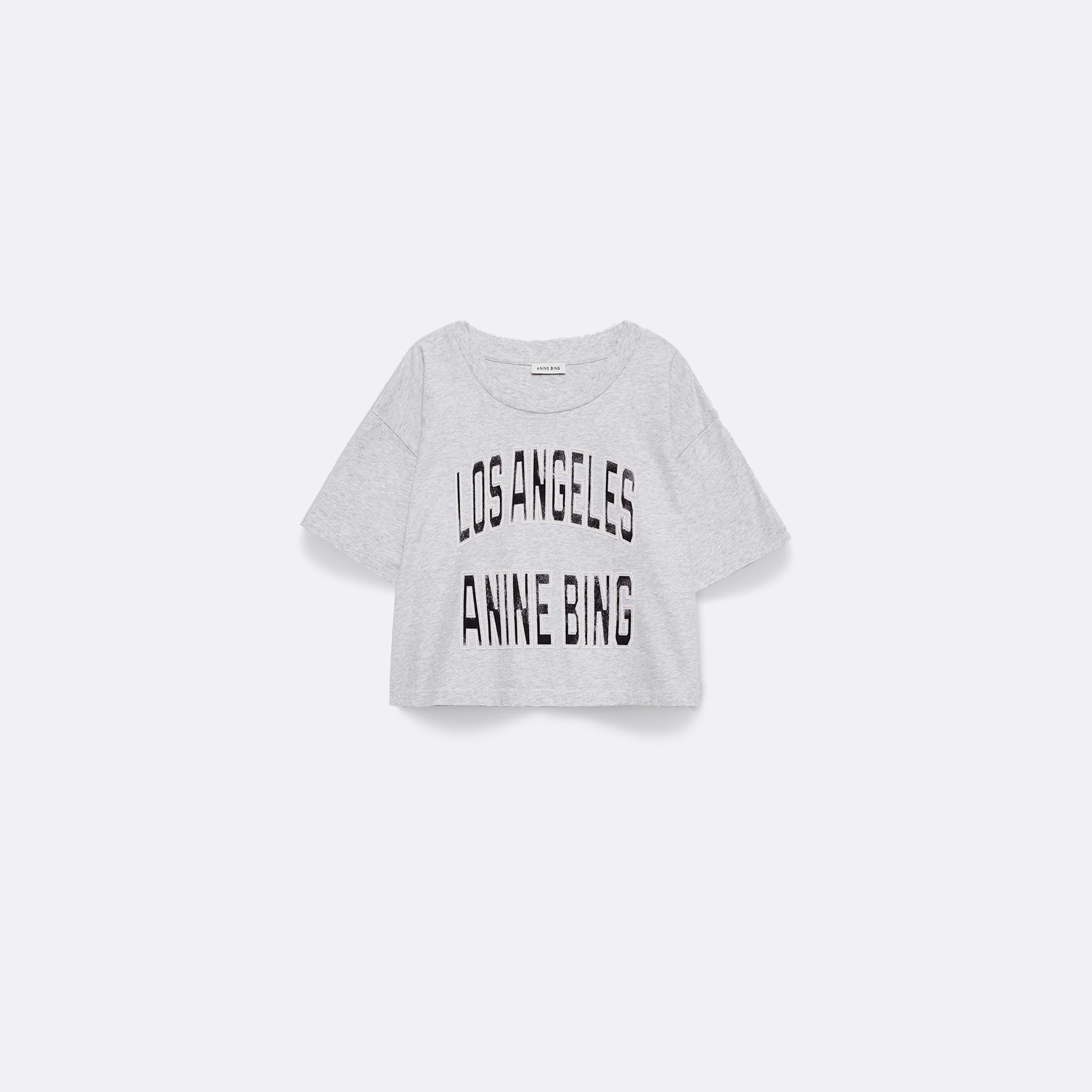 Anine Bing Johnny Cropped Tee in Grey