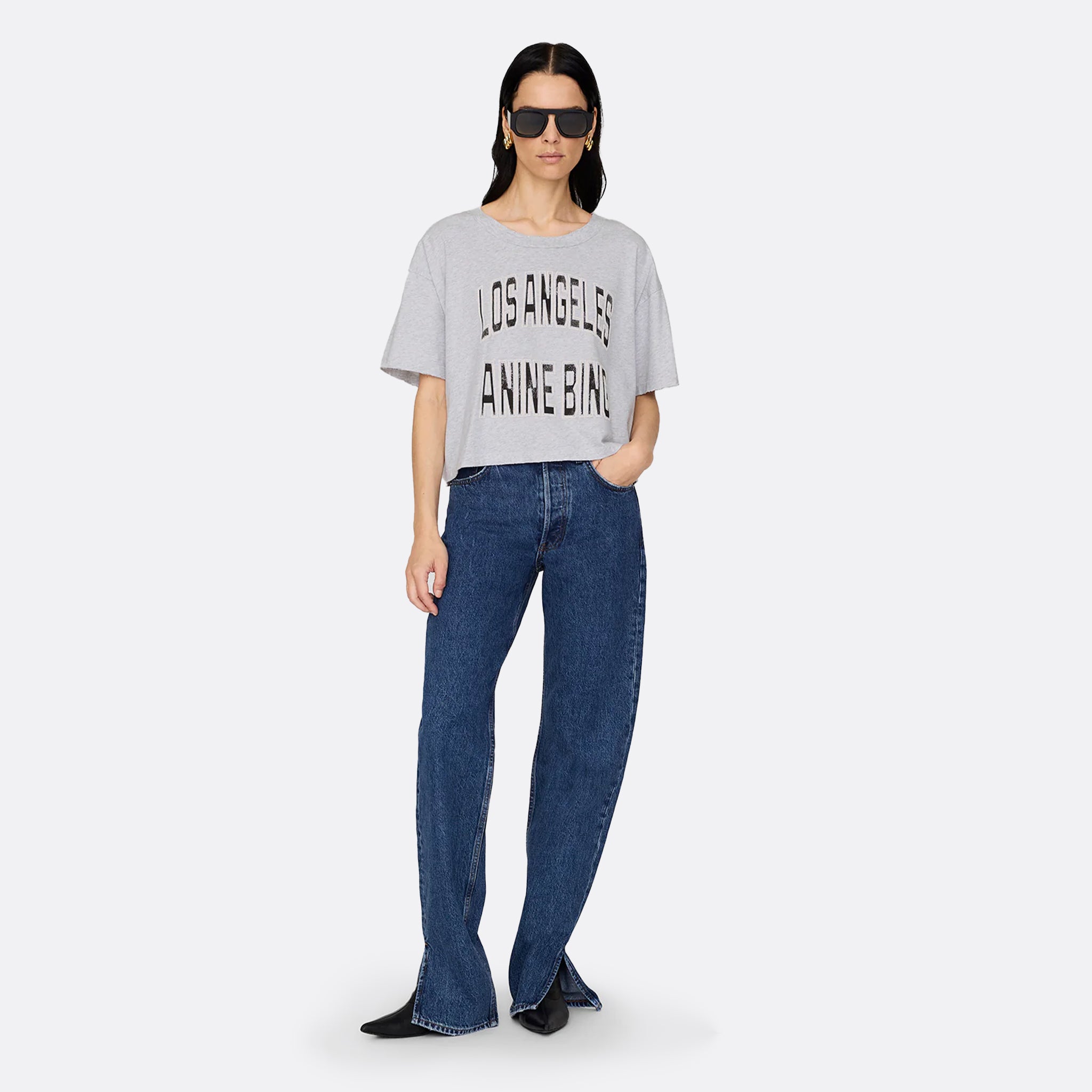 Anine Bing Johnny Cropped Tee in Grey