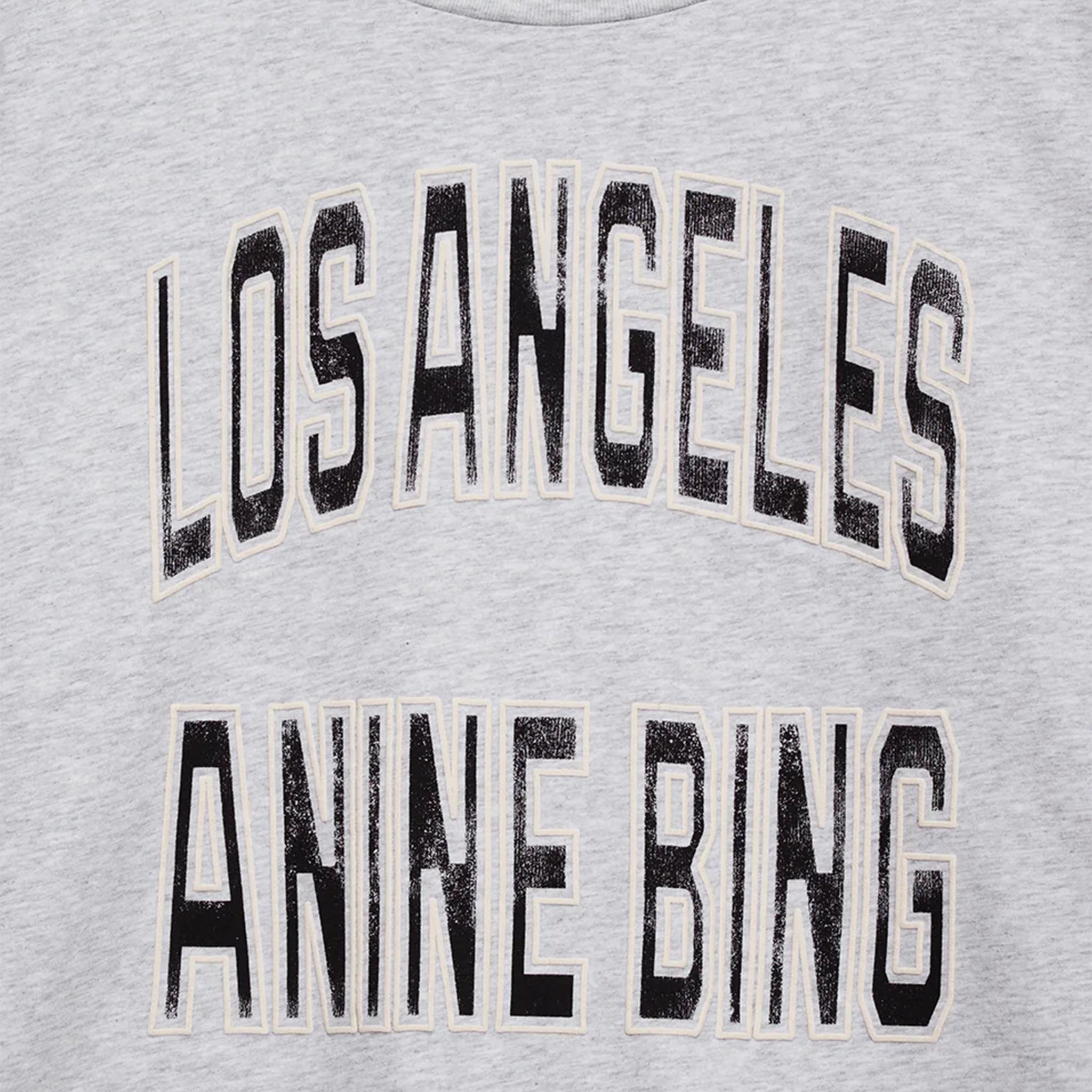 Anine Bing Johnny Cropped Tee in Grey