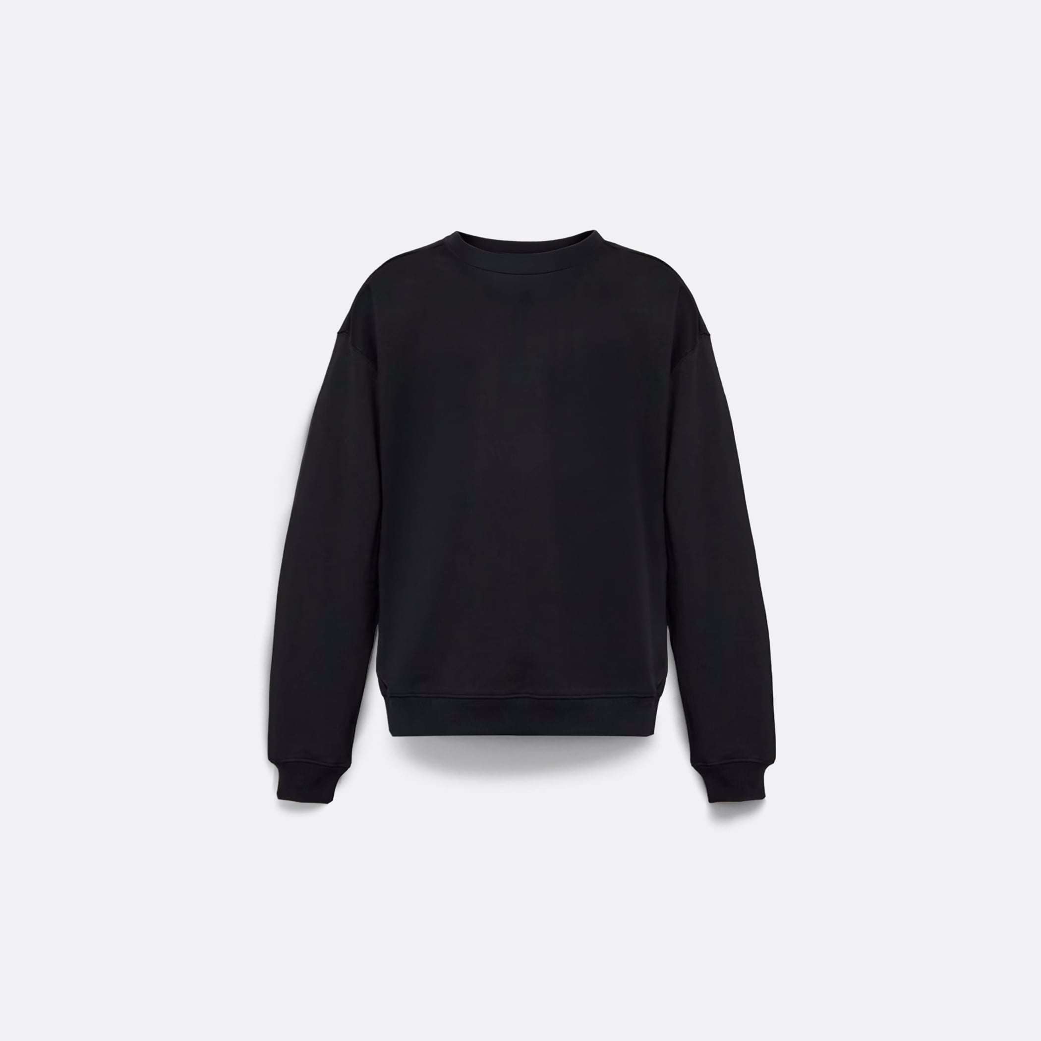 ELLIS ROSCH Y/Project Y Chrome Sweatshirt